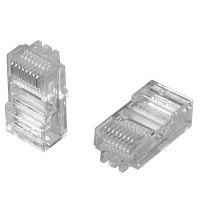 Hạt mạng RJ45 Cat5 AMP chính hãng