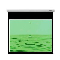 Màn chiếu treo tường DALITE P84WS (84 Inch x 84 Inch | 120 Inch)