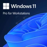 Phần Mềm Win Pro for Wrkstns 11 64Bit Eng Intl 1pk DSP OEI DVD HZV-00101